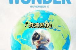 独行侠控卫东斯基复出后场暴走+-苏斯达奇迹逆转，成为夺冠热门之一的简单介绍